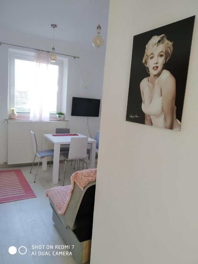 Apartma Jerman - Cerknica Exterior foto
