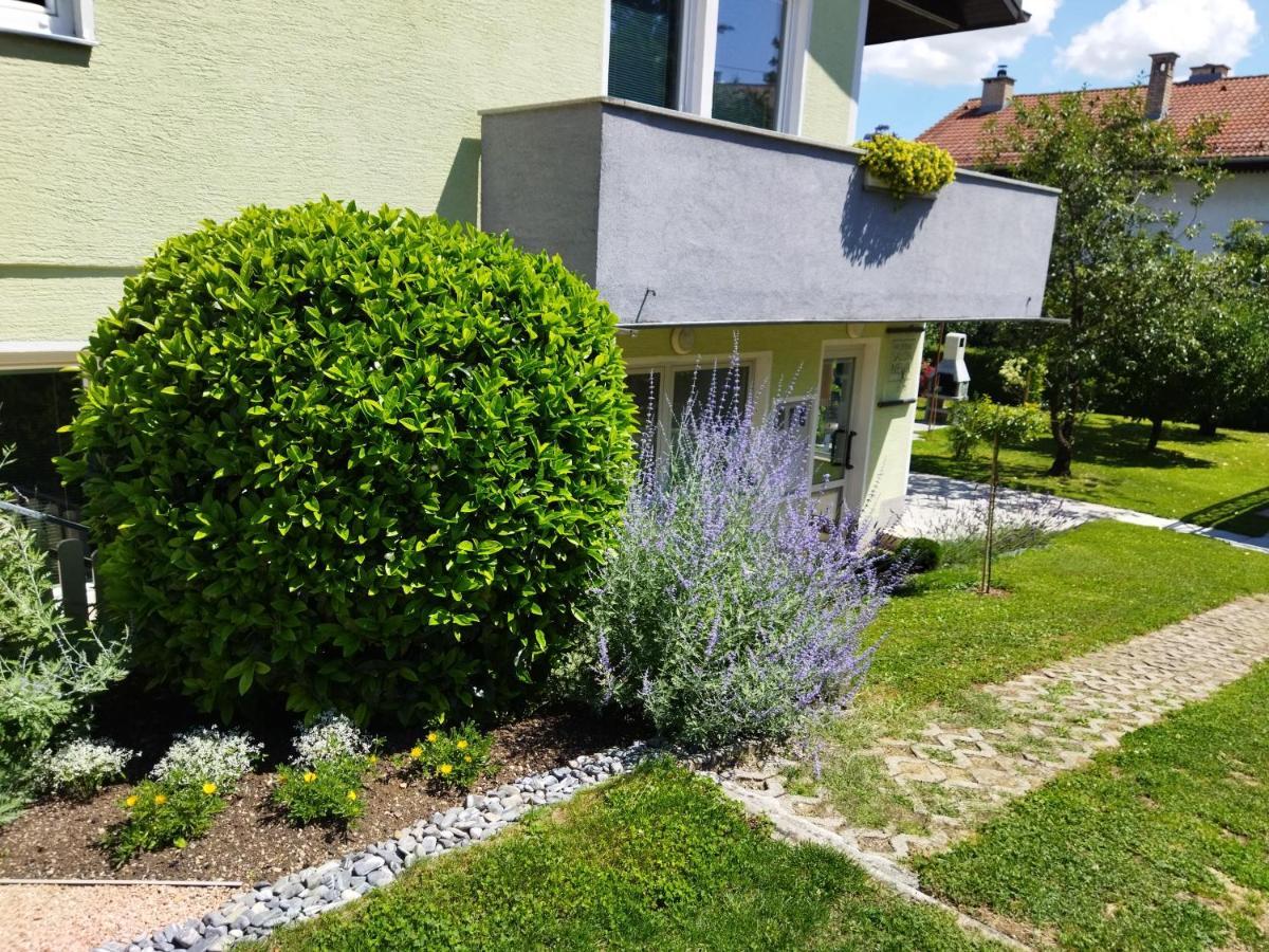 Apartma Jerman - Cerknica Exterior foto
